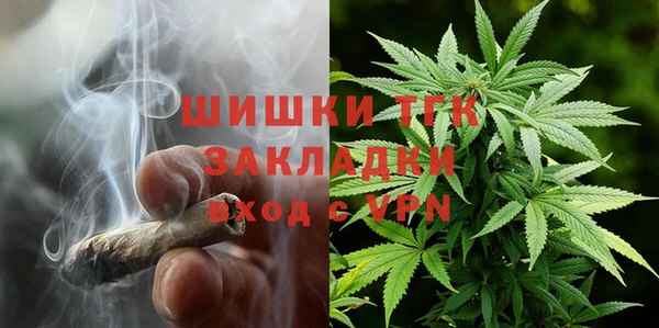 шишки Нягань